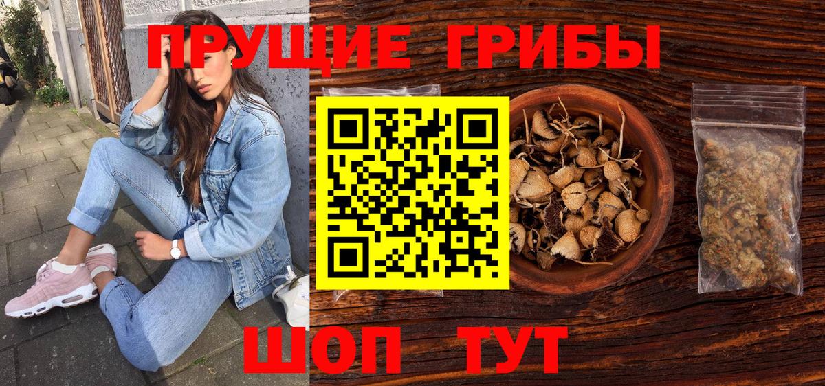 Галлюциногенные грибы Psilocybe Алапаевск