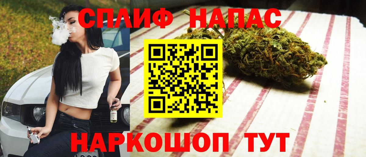 Конопля индика  Вход с VPN  Канабис Bruce Banner  Канабис план  Марихуана семена  Алапаевск 